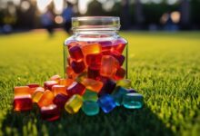 Exploring the miraculous world of CBD gummies